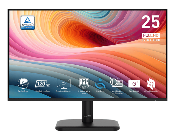 MSI PRO MP2412 | 24 Inch 1080p FHD 100Hz